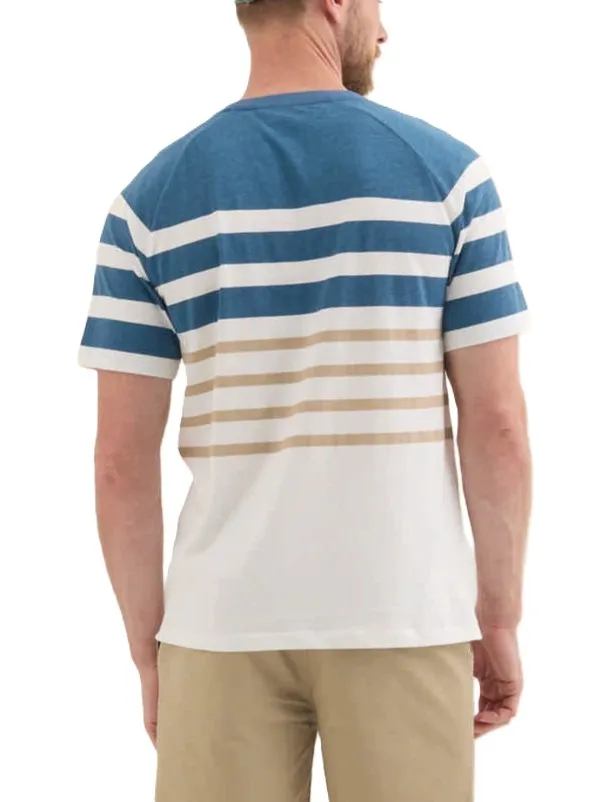 2507668-04-L.webp
